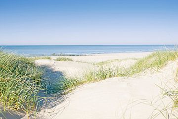 Duinen aan de Hollandse Kust. van Desiree Adam-Vaassen