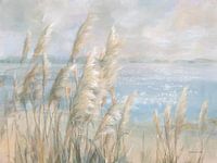 Seaside Pampas Gras., Danhui Nai