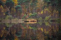 Diaconieven in herfstkleuren