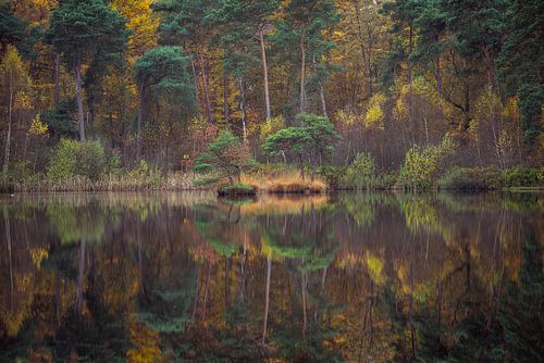 Les diaconales aux couleurs de l'automne
