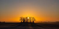 Sonnenaufgang auf der Schwäbischen Alb von Monika Scheurer Miniaturansicht