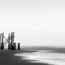 wooden structure on the beach by Shadia Bellafkih