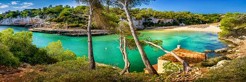 Uitzicht over de baai Cala Llombards op Mallorca