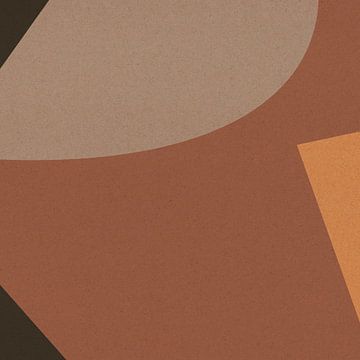 Abstracte organische en geometrische vormen nr. 7 van Dina Dankers