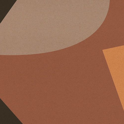 Abstracte organische en geometrische vormen nr. 7