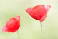 Poppy love (schilderij) van Art by Jeronimo thumbnail