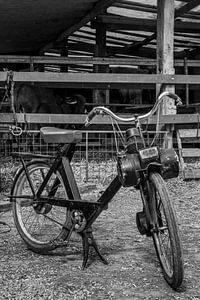 Solex devant un hangar agricole sur Sander Groenendijk