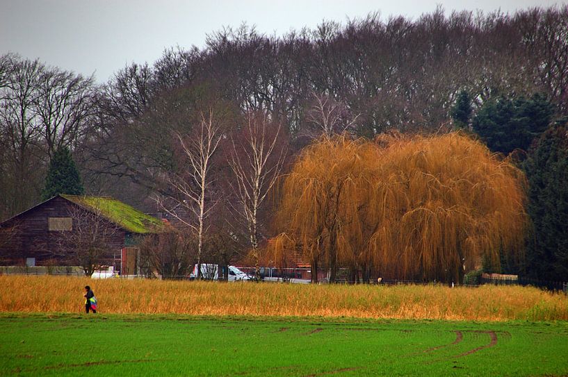Vue de terrain par Edgar Schermaul