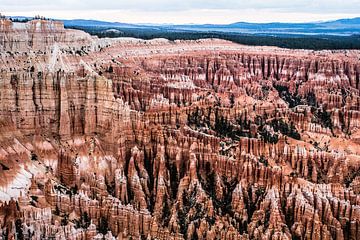 Bryce Canyon beroemde blik op met rode rotsen