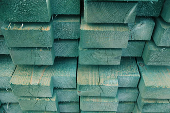 Buntes Holz