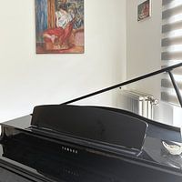 Klantfoto: Vrouw leest - Pierre-Auguste Renoir, als ArtFrame