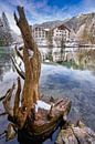 Badersee von Einhorn Fotografie Miniaturansicht