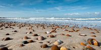 Schelpen op het strand van Dirk Huckriede thumbnail