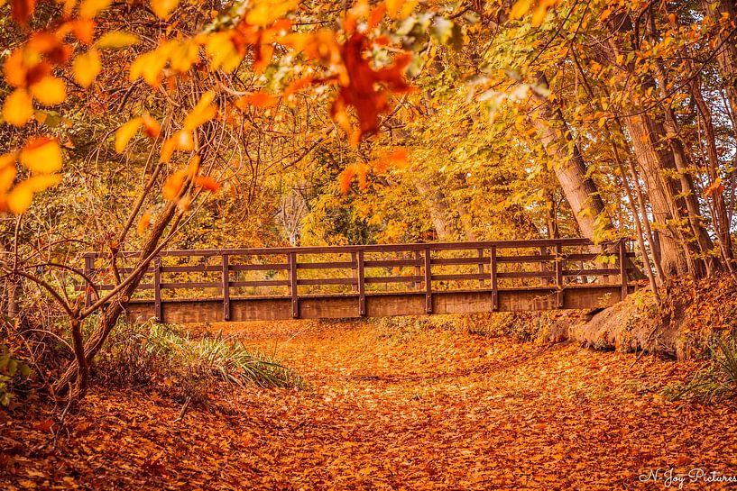 Autumn hues in drying stream Estate Vorden. by N-Joy Pictures