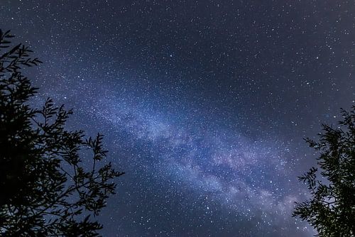 De Melkweg / The Milkyway