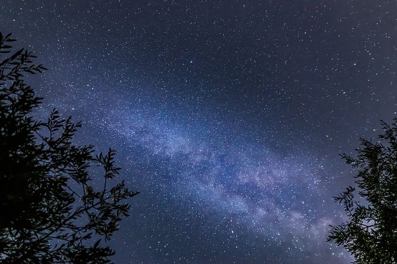 The Melkweg / The Milkyway by Jaco Verheul