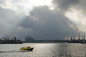 Spektakulärer Himmel über der Neuen Maas