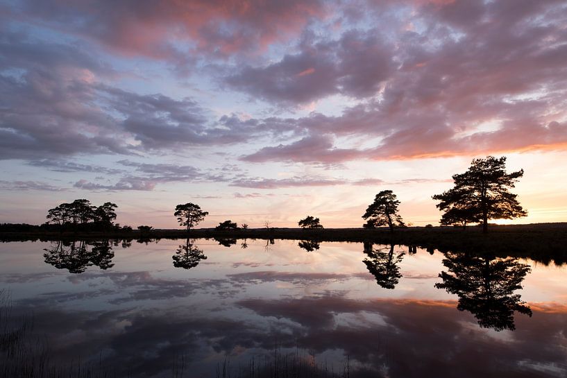 Sunset on Dwingelderveld, Netherlands by Ronald Wilfred Jansen