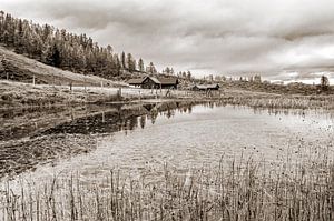 Die Lackenalm spiegelt sich im Teich