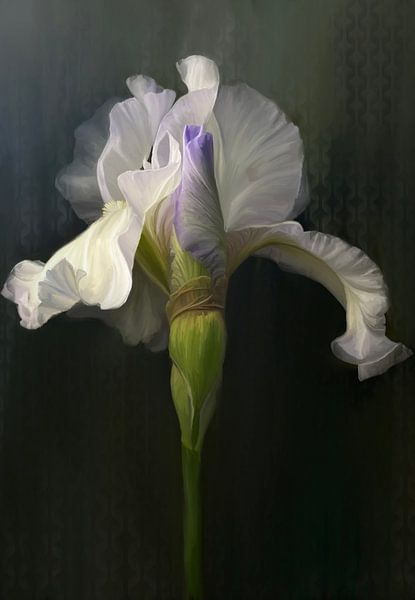 “To stand alone” van NMG