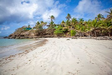 Strand auf Grenada (Karibik) von t.ART