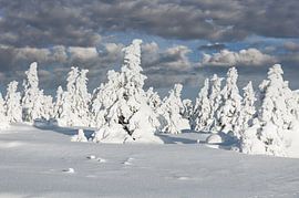 Winter landscape on the Brocken,Harz by Peter Eckert