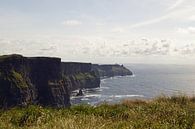 Die Cliffs of Moher sind die bekanntesten Klippen in Irland. von Babetts Bildergalerie Miniaturansicht