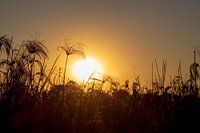 Zonsondergang in Namibië