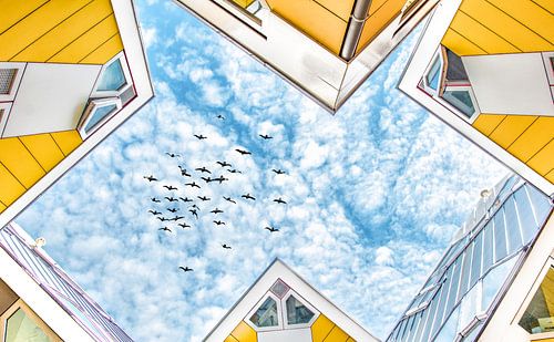 Kubuswoningen Rotterdam