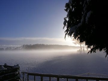 Wintermorgen met mist. Misty wintermorning. van Joke Schippers