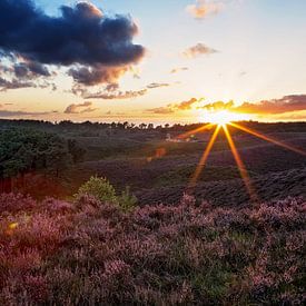 Zonsondergang over de paarse heide op de posbank van Moo pix