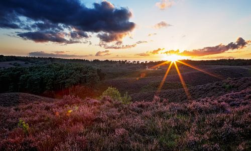 Zonsondergang over de paarse heide op de posbank