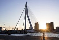 Liebe an der Erasmus-Brücke, Rotterdam von Francisca Snel Miniaturansicht