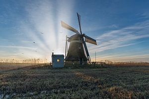Sunrise in Kimswerd