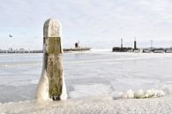 Bevroren havenpaal van Michael de Boer thumbnail