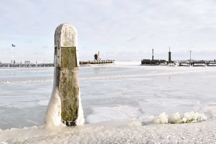 Frozen harbour pile by Michael de Boer