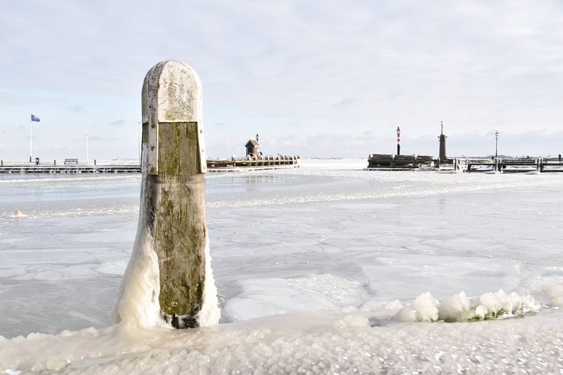 Bevroren havenpaal van Michael de Boer