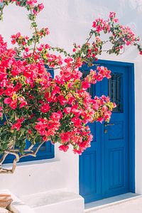Blaue Tür und rosa Blumen