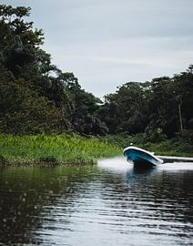 Boat trip through Tortuguero - Discovery trip through the green labyrinth