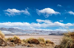 Andes landschap in de Puna, Argentinië. van Ron van der Stappen