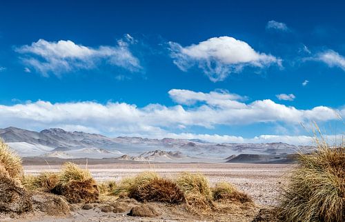 Andes landschap in de Puna, Argentinië.