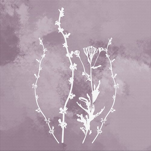 Nuvole di Prato. Abstrait Botanique Minimaliste en argent mauve violet
