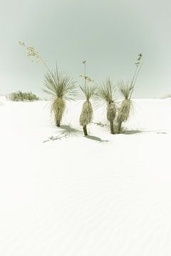 Dunes, White Sands National Monument | Vintage van Melanie Viola