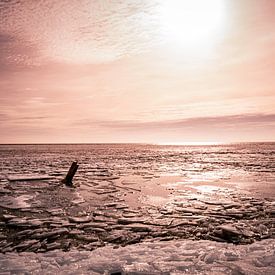 Belle lumière du soleil sur la glace concassée sur Grietje van der Reijnst