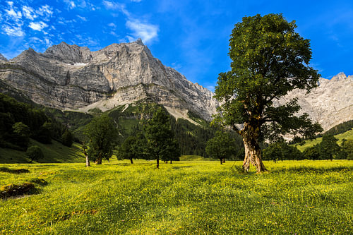 Großer Ahornboden in the Karwendel Nature Park