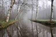 Wingerdse bos van Annemieke van der Wiel thumbnail