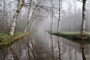 Geflügelter Wald