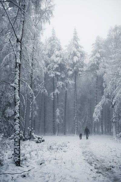 Limburgs winter landschap van Leanne Verdonk