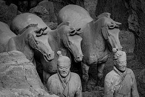 Het Terracottaleger van Xian in China