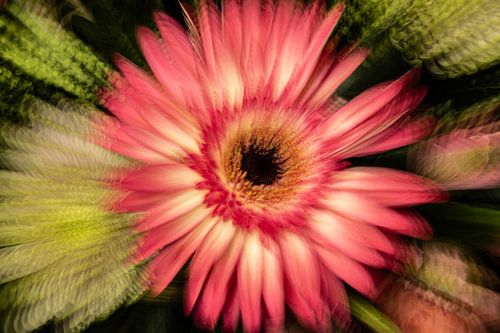 Creative with flowers